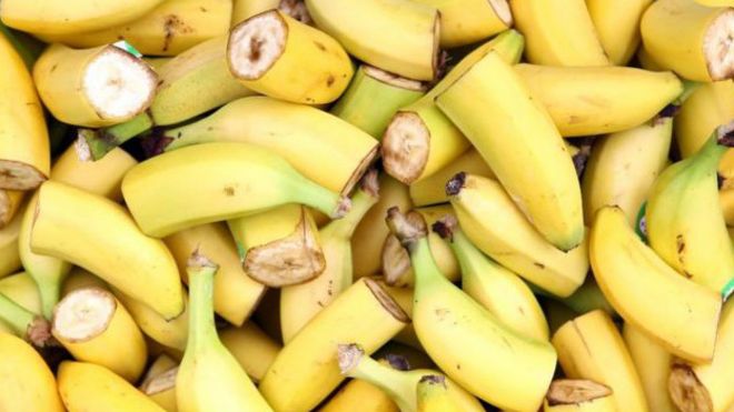 Bananas.