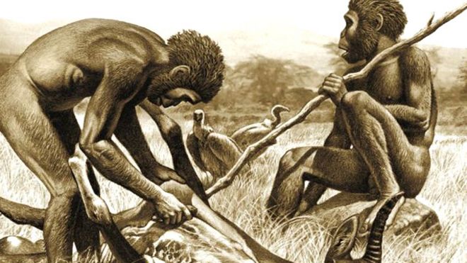 primeras formas de vida en la tierra y los primeros hominidos