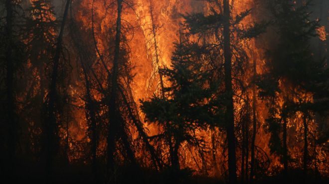 Incendio en Fort McMurray, Canadá