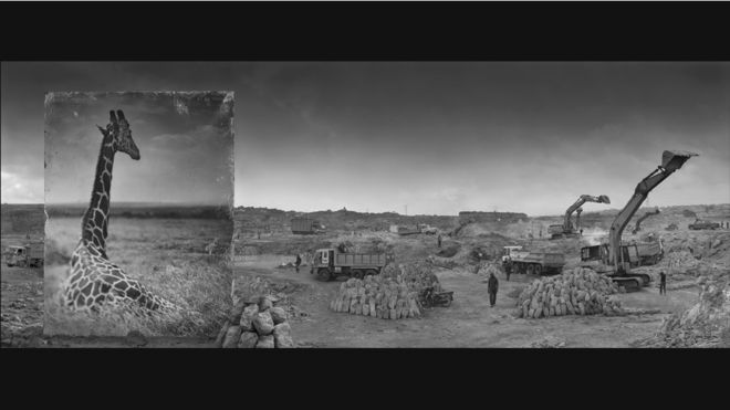 © Nick Brandt. Cortesía de Atlas Gallery
