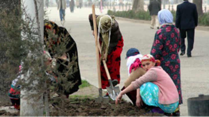 Только Таджик Голь Голь Девушки Картину