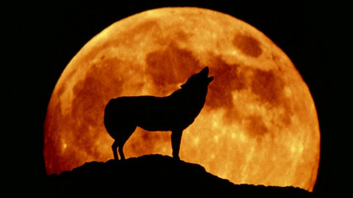 La Verdadera Influencia De La Luna Sobre Nosotros Bbc News Mundo