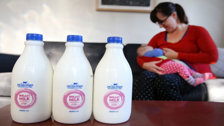 Sữa Người Rất Giống Sữa Ngựa Vằn Bbc News Tiếng Việt