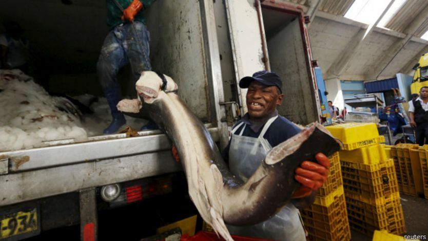 Pescado