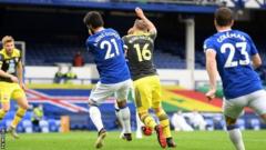 Southampton got a penalty when James Ward-Prowse seemed to fall towards Ande Gomes