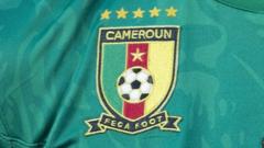 The Cameroon Football Federation logo