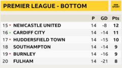 Snapshot of bottom of Premier League: 15th Newcastle, 16th Cardiff, 17th Huddersfield, 18th Southampton, 19th Burnley, 20th Fulham