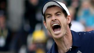 Andy Murray roars in victory