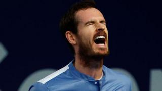andy murray celebrating