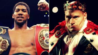 Joshua and Fury