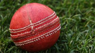 Cricket