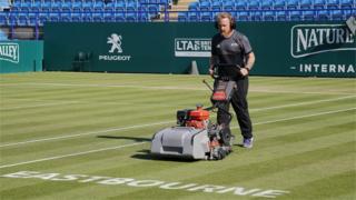 Eastbourne lawn mower