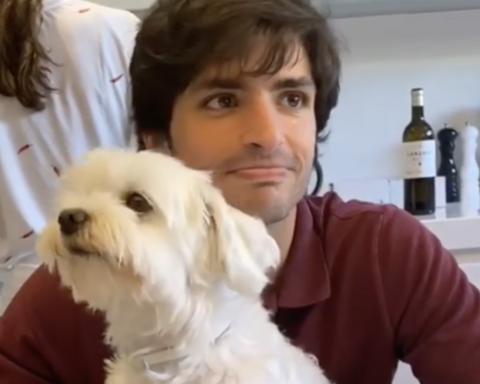 Carlos Sainz and his dog Olivia