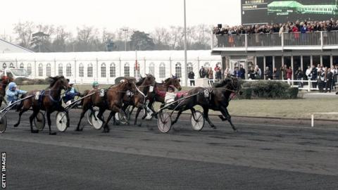 Trotting