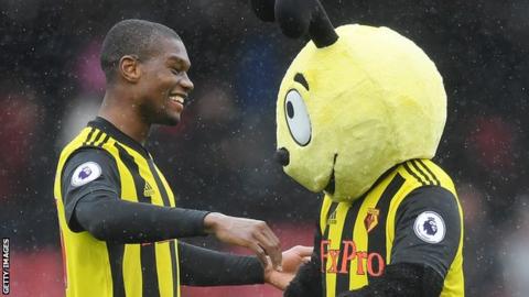 Harry the Hornet