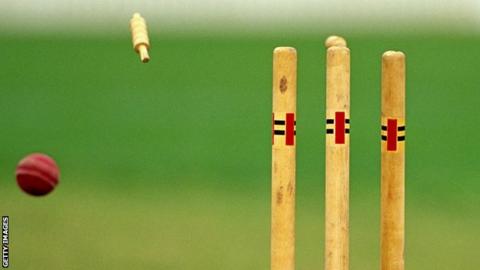 Cricket