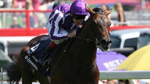 Fame And Glory: Stallion dies at Coolmore Stud during breeding duties ...