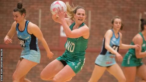 Celtic Dragons