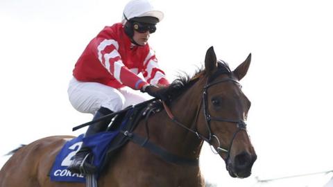 Coneygree