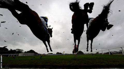Horses over a jump