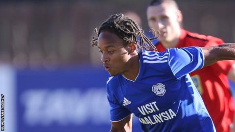 Bobby Reid New Cardiff City Striker Inspired By Crazy 2017 18