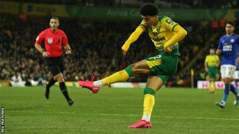 Norwich City 1-0 Leicester City: Canaries breathe life into ...