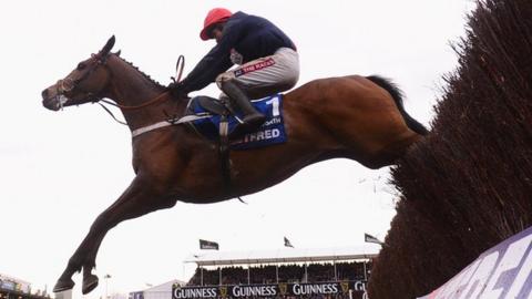 Bobs Worth clears the last hurdle at the 2013 Cheltenham Gold Cup