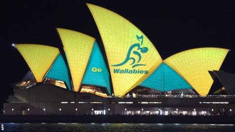 Wallabies