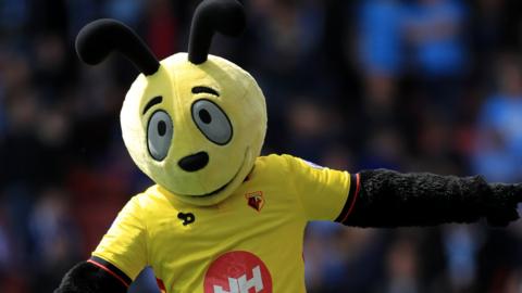 Harry Hornet