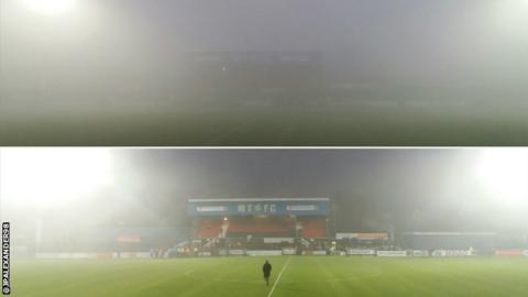 Moss Rose