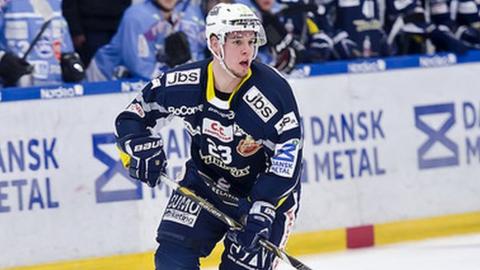 Mitch Ganzak has signed for the Belfast Giants