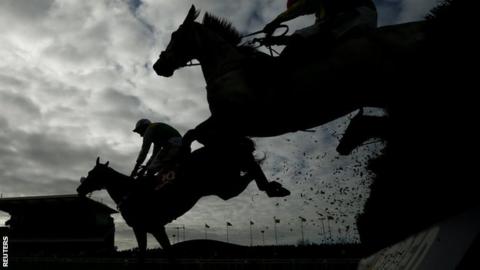 Horses at the Grand National meeting