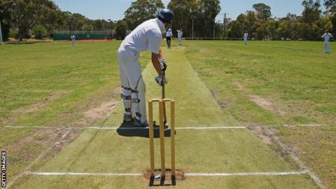 Cricket
