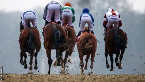 Lingfield Park races