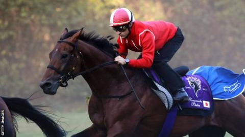 Christophe Lemaire rides Makahiki