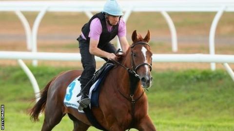 Red Cadeaux in Melbourne