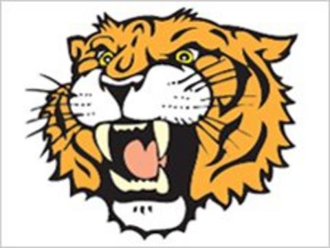 Mildenhall Fen Tigers logo