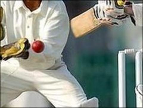 Cricket
