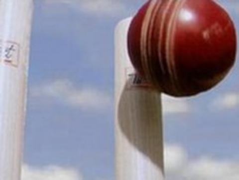 Cricket