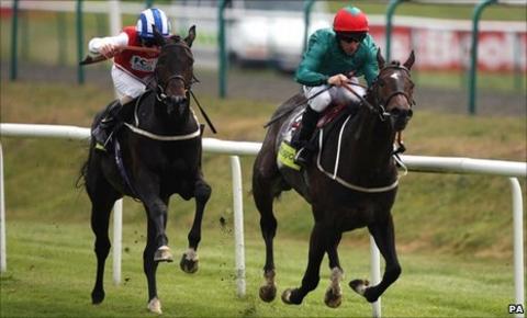 Dordogne and HUrricane Higgins