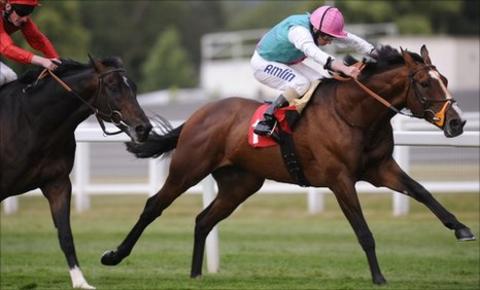 Workforce (right) on course for victory at Sandown