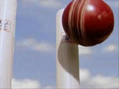 Cricket