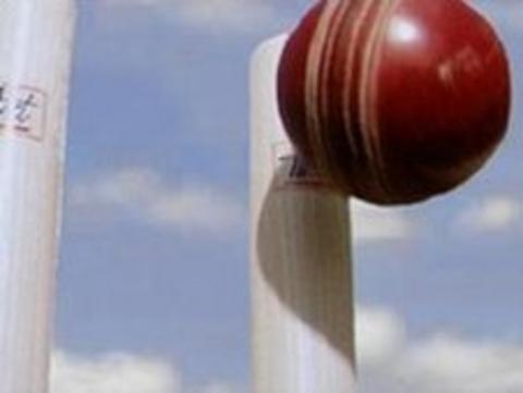 Cricket