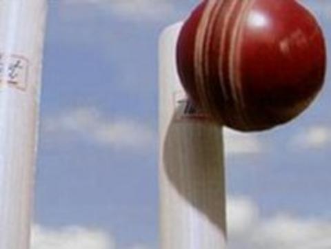 Cricket