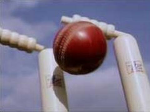 Cricket