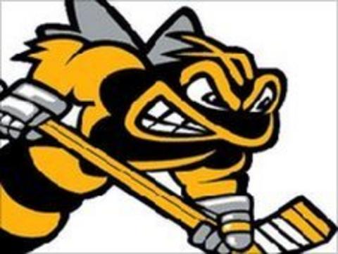 Bracknell Bees
