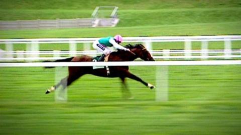 Frankel