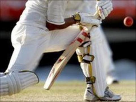 Cricket