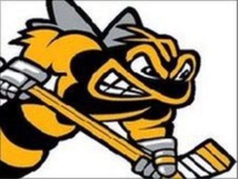 Bracknell Bees