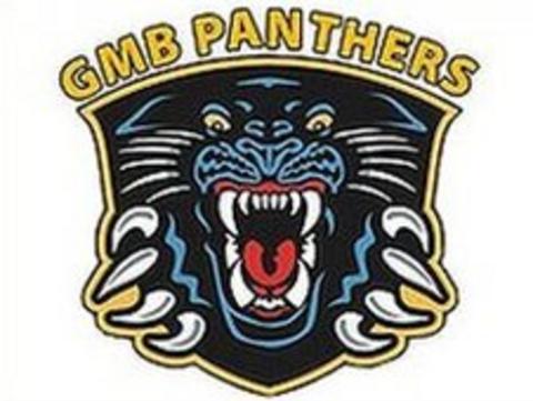 Panthers logo